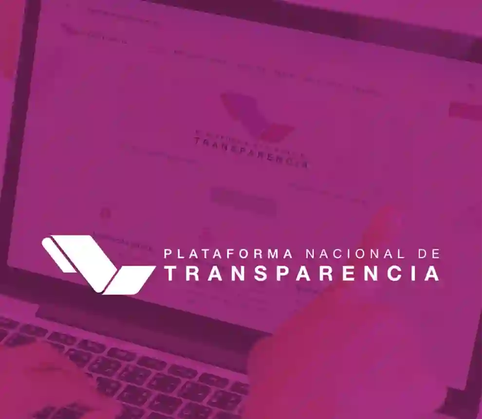 TRANSPARENCIA4